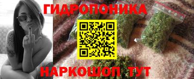 стафф Лесосибирск