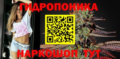 стафф Лесосибирск
