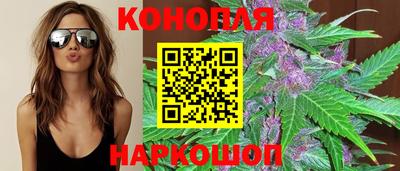 стафф Лесосибирск