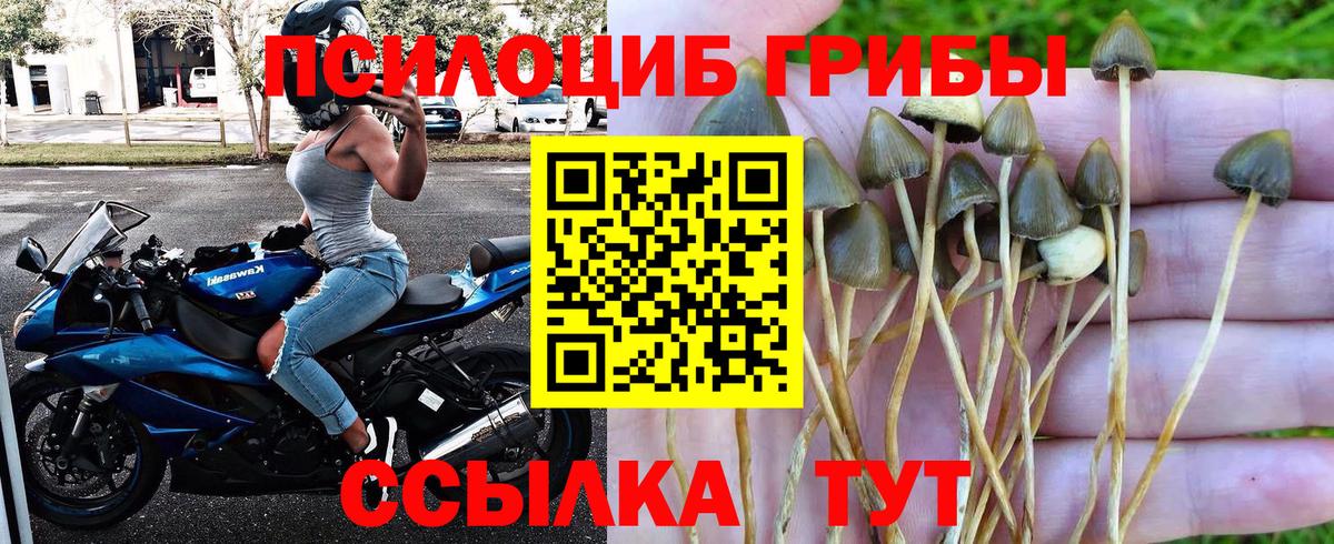 Галлюциногенные грибы ЛСД  Вход с VPN  Ярославль 